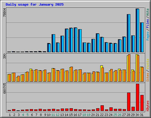 Daily usage for January 2025
