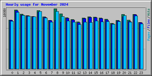 Hourly usage for November 2024