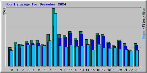 Hourly usage for December 2024