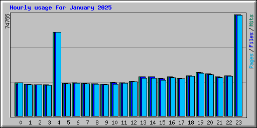 Hourly usage for January 2025