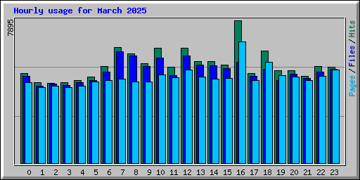 Hourly usage for March 2025