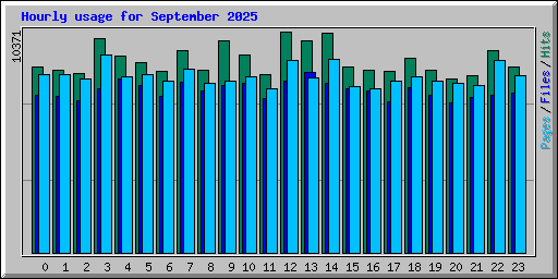 Hourly usage for September 2025