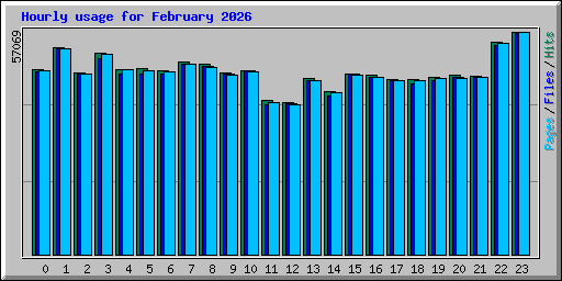 Hourly usage for February 2026