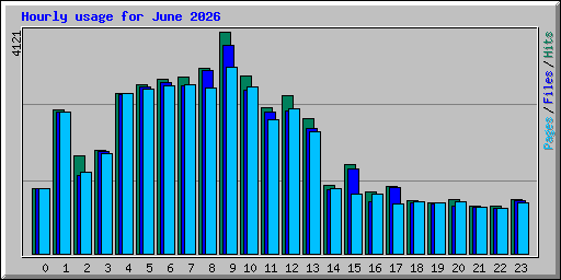 Hourly usage for June 2026